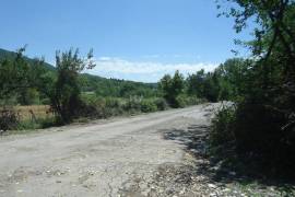 Land For Sale, Choporti