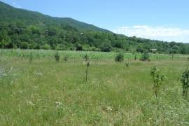 Land For Sale, Agricultural, Choporti