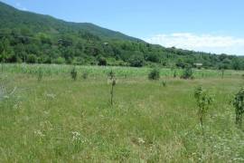 Land For Sale, Choporti