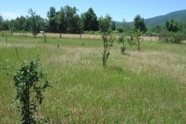 Land For Sale, Choporti