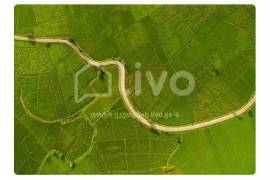Land For Sale, Non Agricultural, Surami