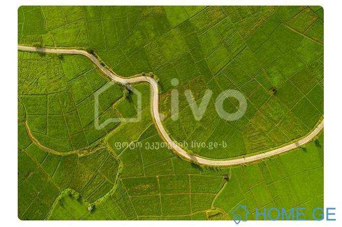 Land For Sale, Non Agricultural, Surami