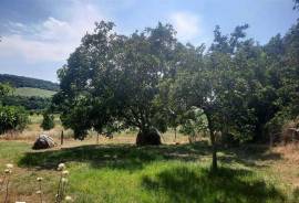 Land For Sale, Tskarostavi