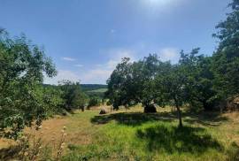 Land For Sale, Tskarostavi