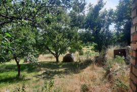 Land For Sale, Tskarostavi