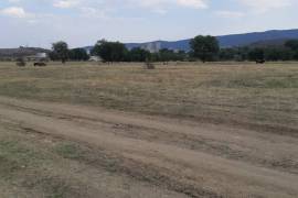 Land For Sale, Lisi lake