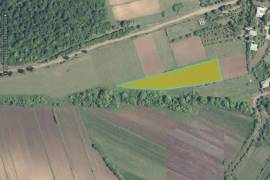 Land For Sale, Bazaleti 