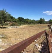 Land For Sale, Agricultural, Mukhrani