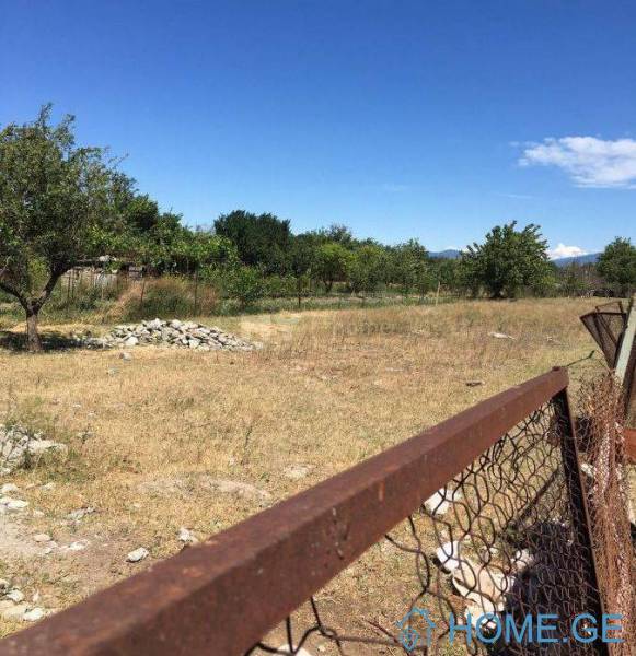 Land For Sale, Agricultural, Mukhrani