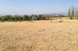 Land For Sale, Lilo