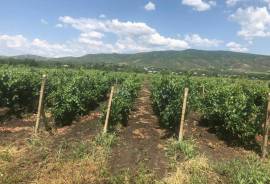 Land For Sale, Agricultural, Mzisguli