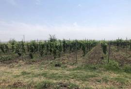 Land For Sale, Agricultural, Mzisguli