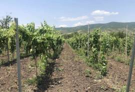 Land For Sale, Agricultural, Mzisguli