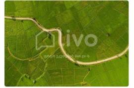 Land For Sale, Agricultural, Tskneti