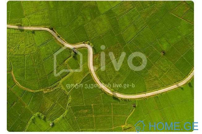 Land For Sale, Agricultural, Tskneti