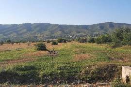 Land For Sale, Natakhari