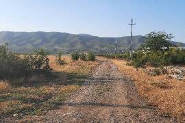 იყიდება მიწის ნაკვეთი, სასოფლო - სამეურნეო, ნატახტარი