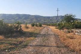 Land For Sale, Natakhari