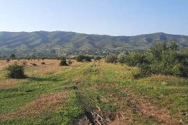 Land For Sale, Natakhari