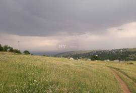 იყიდება მიწის ნაკვეთი, სასოფლო - სამეურნეო, წავკისი