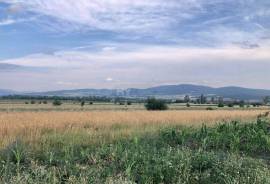 Land For Sale, Bazaleti 