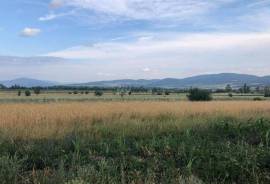Land For Sale, Agricultural, Bazaleti 