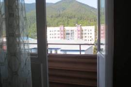 Daily Apartment Rent, Old building, Borjomi