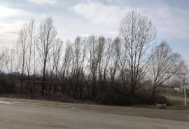 For Sale , Universal, Saimerlo