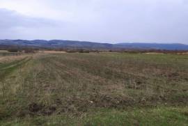 Land For Sale, Balebiskhevi