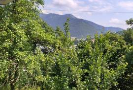 იყიდება სახლი, 6 ოთახიანი, ბორჯომი, ბორჯომი