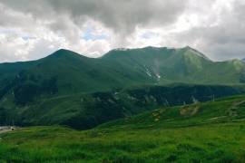 იყიდება მიწის ნაკვეთი, სასოფლო - სამეურნეო, გუდაური