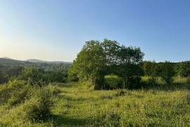 Land For Sale, Sioni