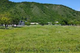 Land For Sale, Agricultural, Aghdgomliantkari