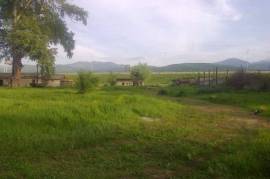 Land For Sale, Gomi