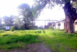 Land For Sale, Gomi