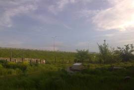 Land For Sale, Gomi