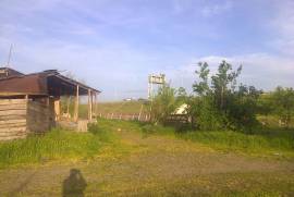 Land For Sale, Gomi