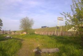 Land For Sale, Gomi