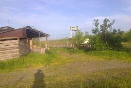 Land For Sale, Gomi