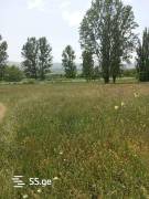 Land For Sale, Sakdrioni 