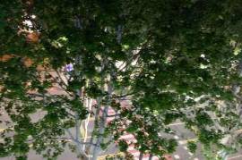 Аренда, 3 Kомнатная, Новостройка, Тбилиси, vake