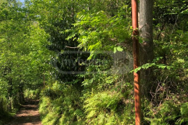 Land For Sale, Agricultural, Sarpi