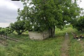 Land For Sale, Non Agricultural, Kalauri