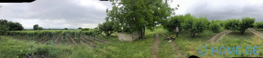 Land For Sale, Non Agricultural, Kalauri