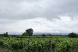 Land For Sale, Non Agricultural, Kalauri