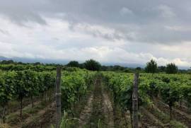 Land For Sale, Non Agricultural, Kalauri