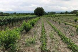 Land For Sale, Non Agricultural, Kalauri