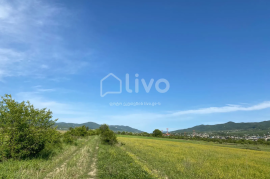 Land For Sale, Agricultural, Saguramo