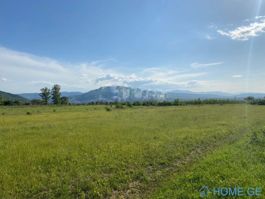Land For Sale, Agricultural, Saguramo