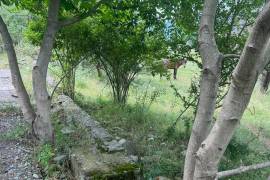 Land For Sale, Bulachauri